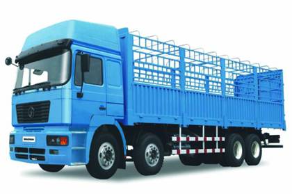 SHACMAN Cargo Truck 8x4 SX5245CLXYNR456
